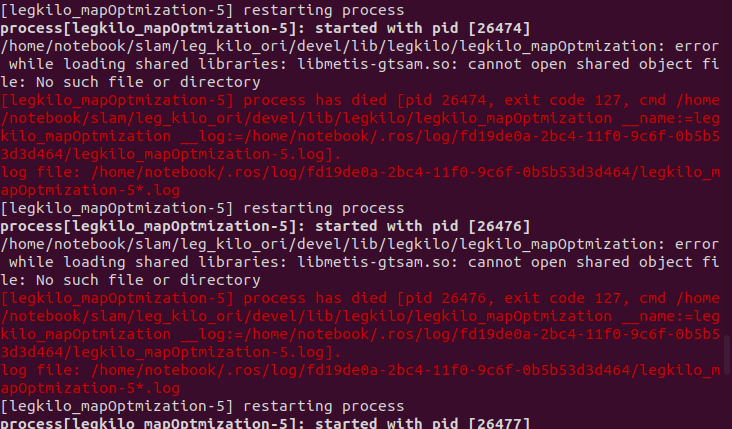 roslaunch error